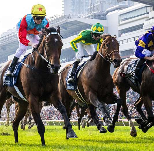 Horse Racing
